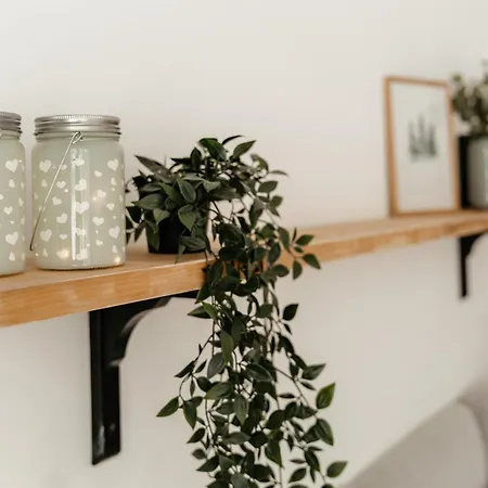 Апартаменты 4 Seasons Cozy